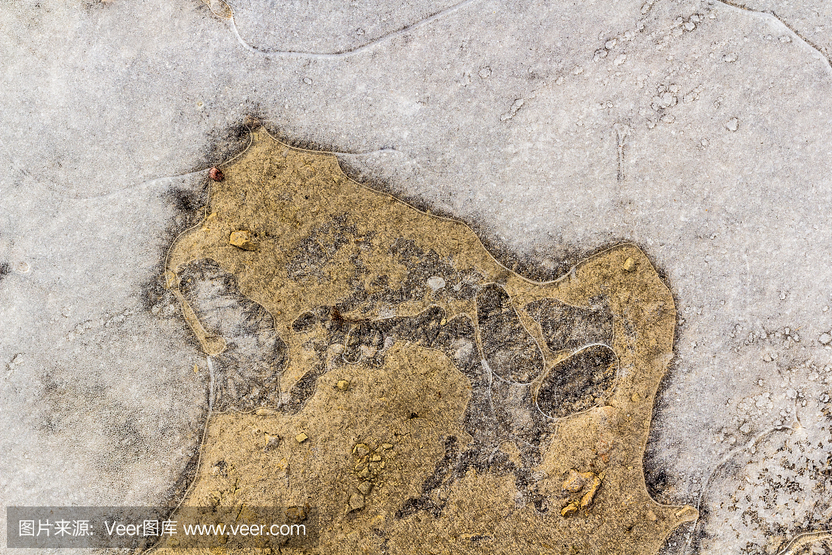 早期的春天在一个晴朗的早晨结冰的水坑