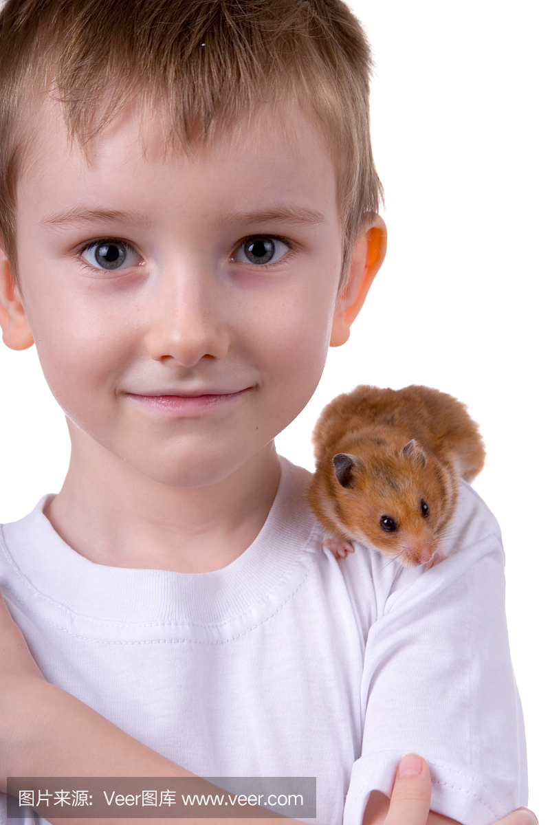 仓鼠,大老鼠,大田鼠,硕鼠