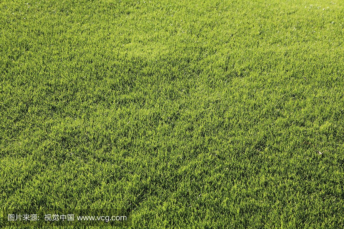 材料,物质,素材,原材料