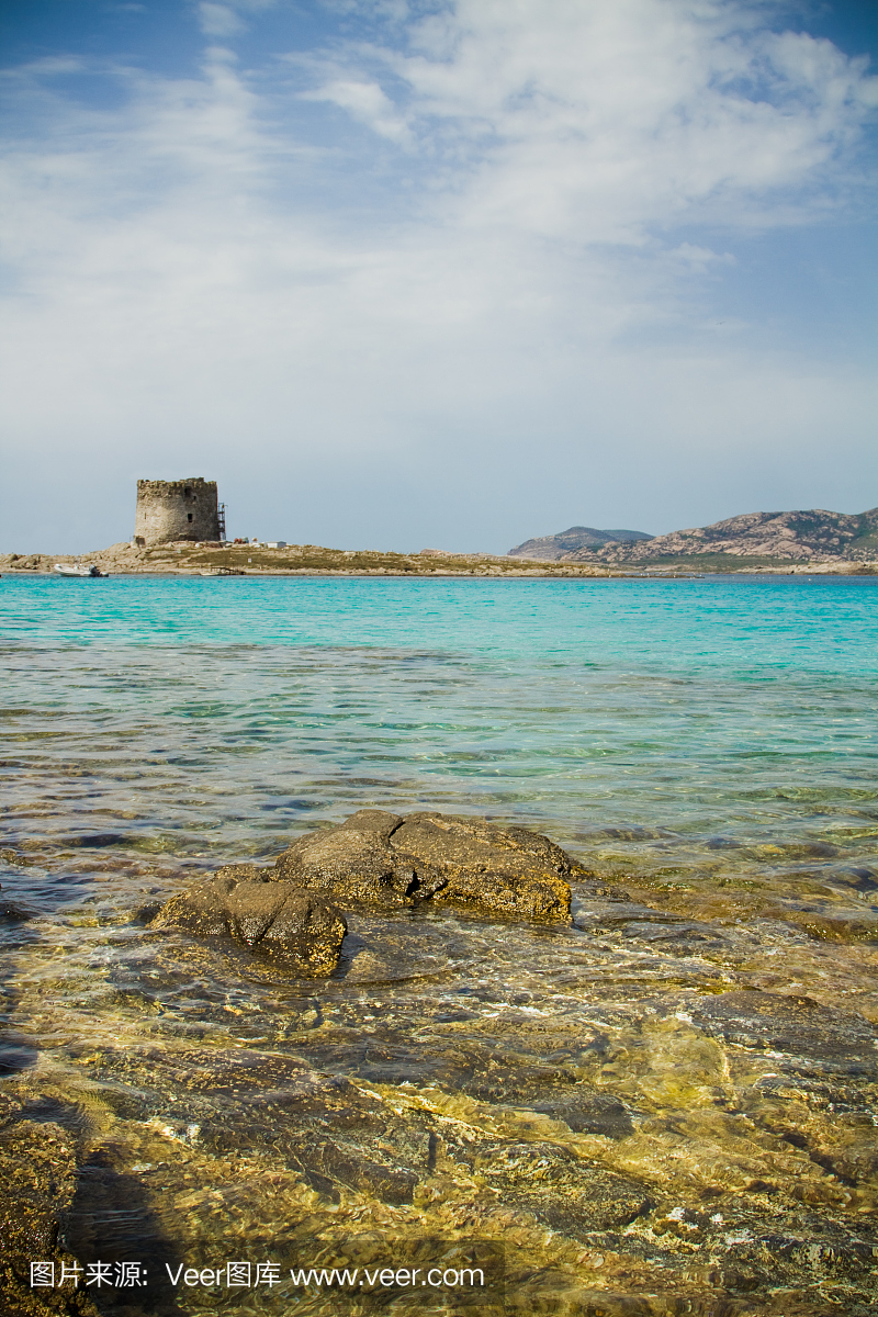 意大利萨丁岛,意大利撒丁岛,垂直画幅,水