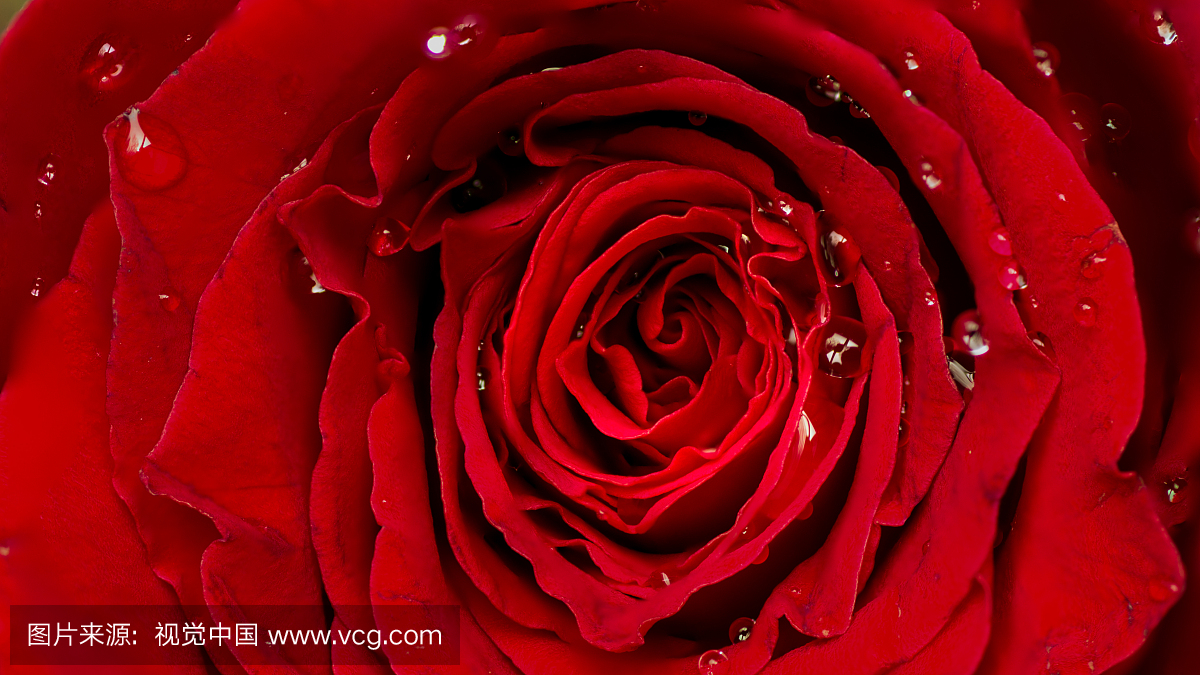 浪漫,爱情故事,浪漫史,浪漫生活