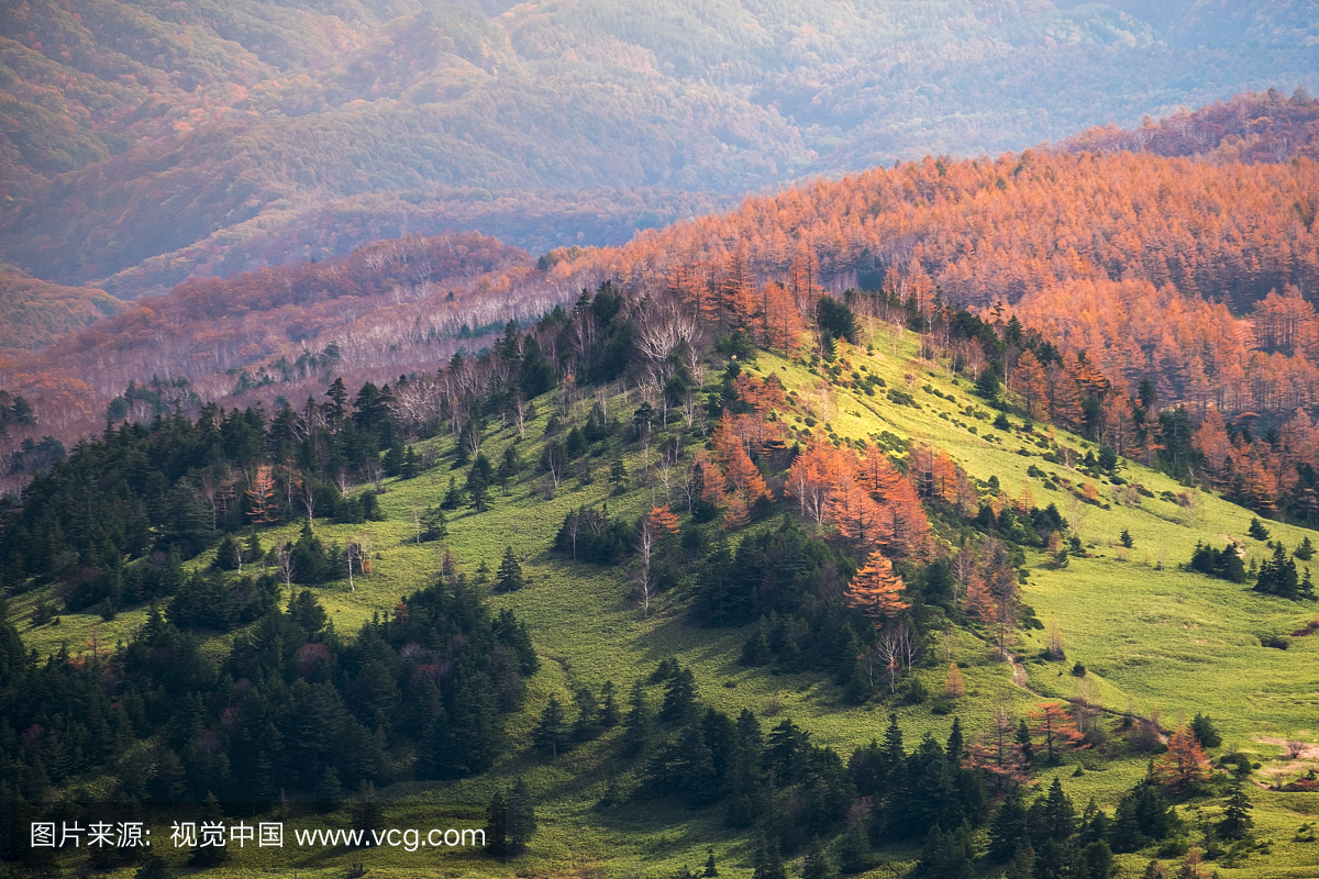 日本长野县国家公园滋贺高原高原的秋天景色