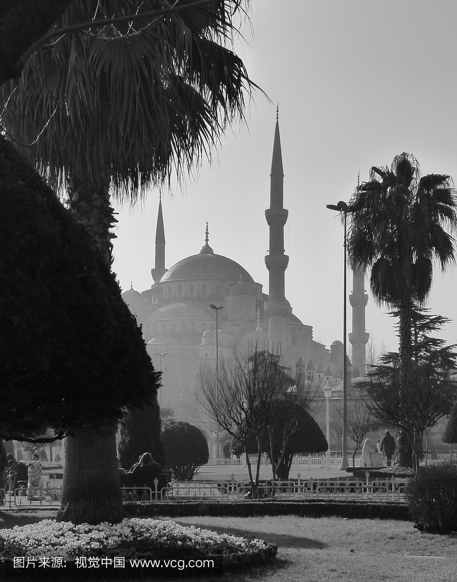伊斯坦布尔,欧洲,垂直画幅,档案