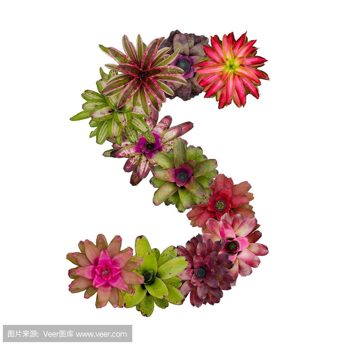 短笛,笛子,英文字母S,字母S