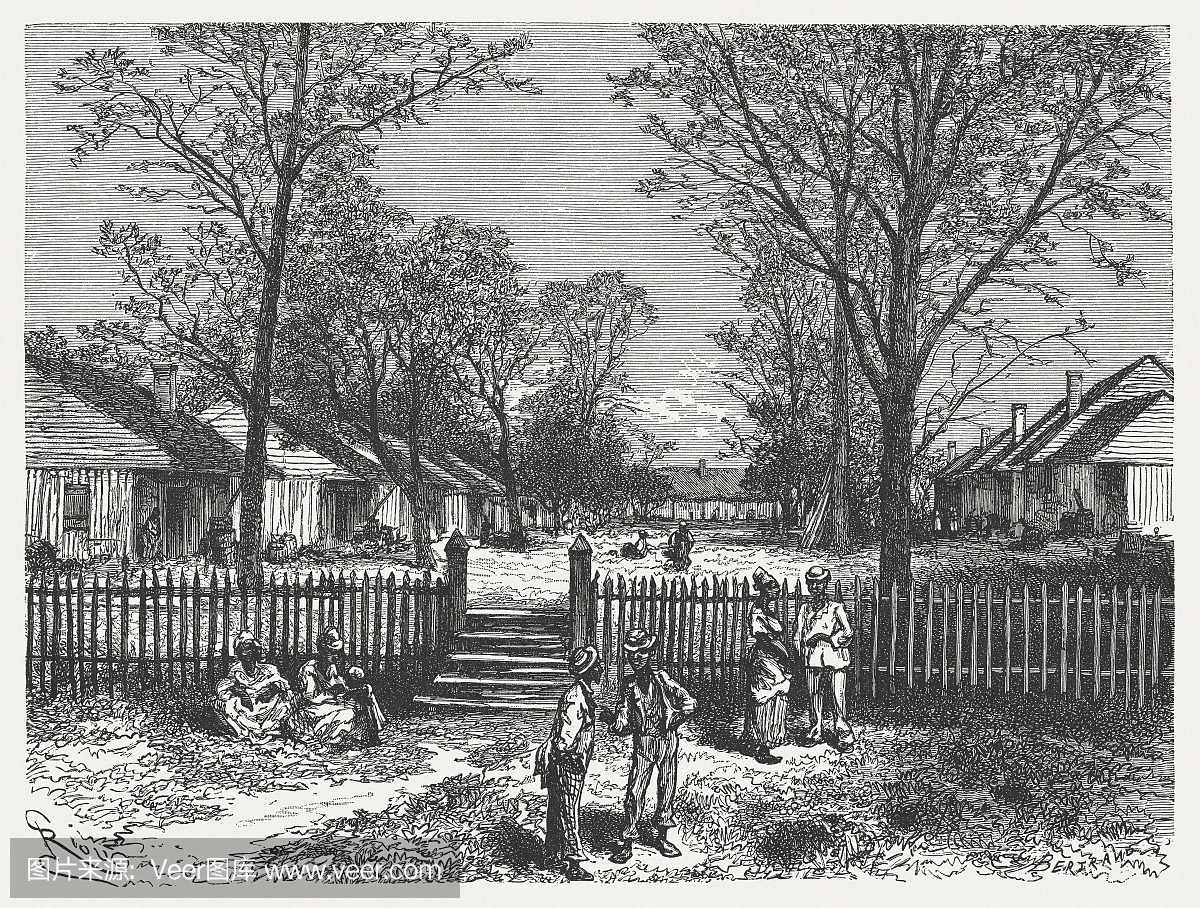 美国棉花种植园,木雕刻,1880年出版