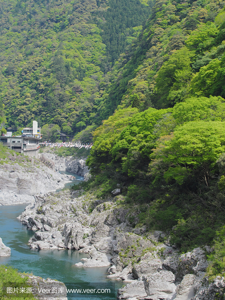 德岛县,日本四国岛东部港市,德岛港市,岩层