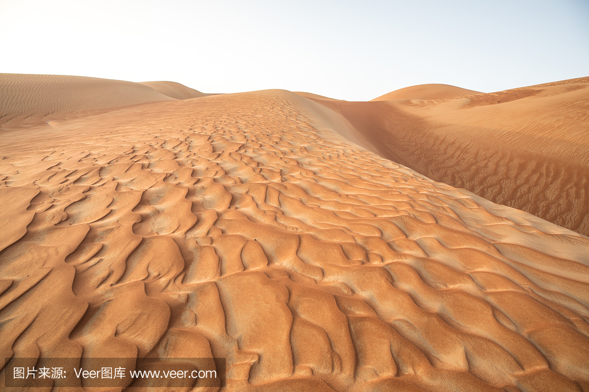 迪拜,杜拜,迪拜国,沙特阿拉伯