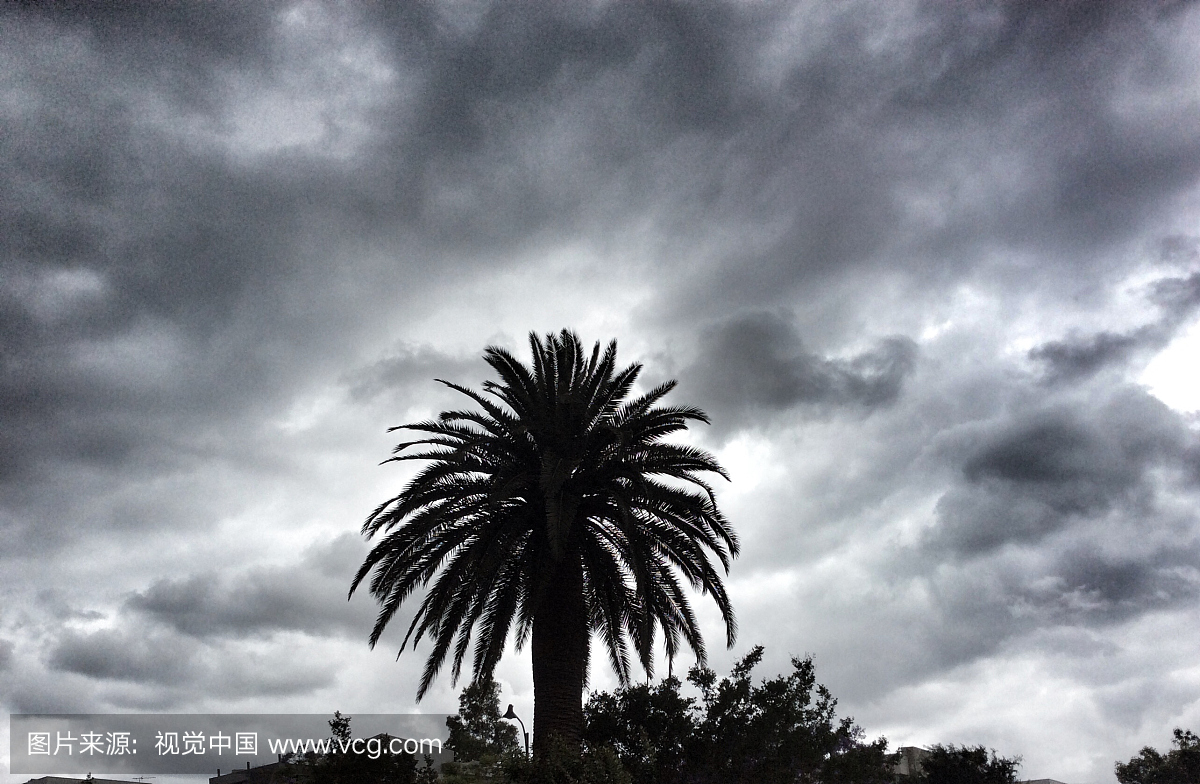 澳大利亚,天气,悉尼,生长