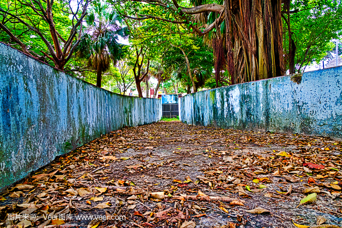 古巴,长时间曝光,秋天,奥地利