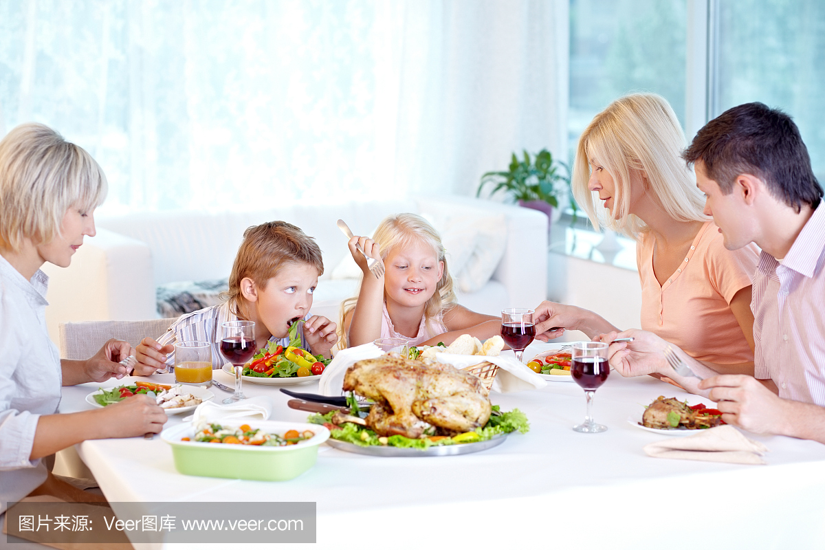 烤火鸡,烧烤火鸡,葡萄酒,家庭生活