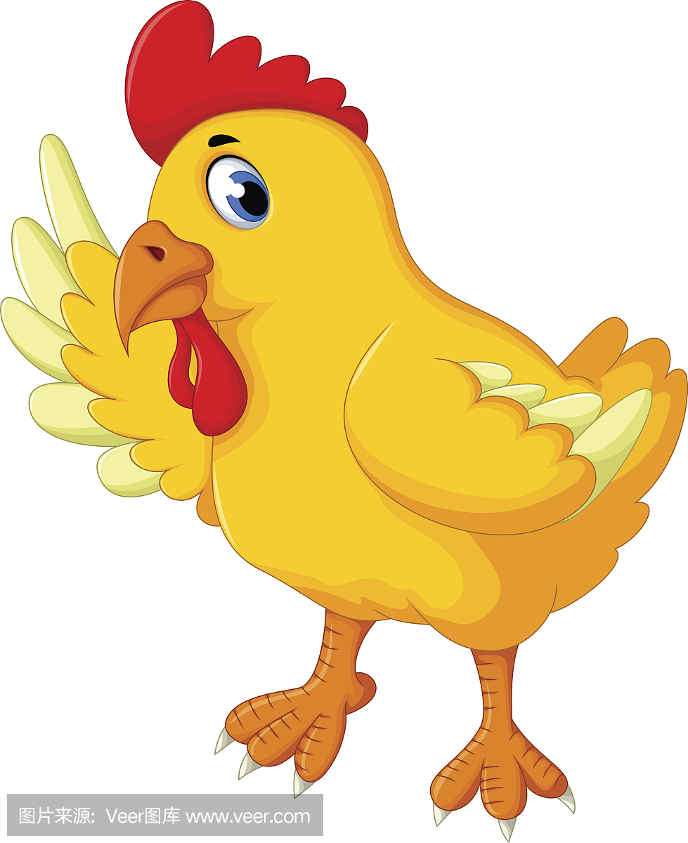 动物脚趾,动物脚尖,动物腿骨,腿骨