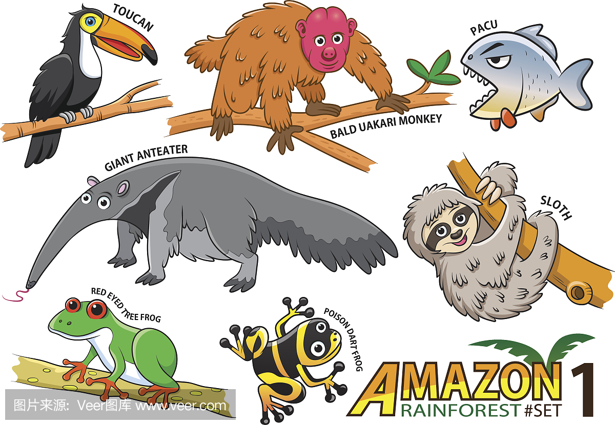 可爱的卡通动物和鸟类在亚马逊地区