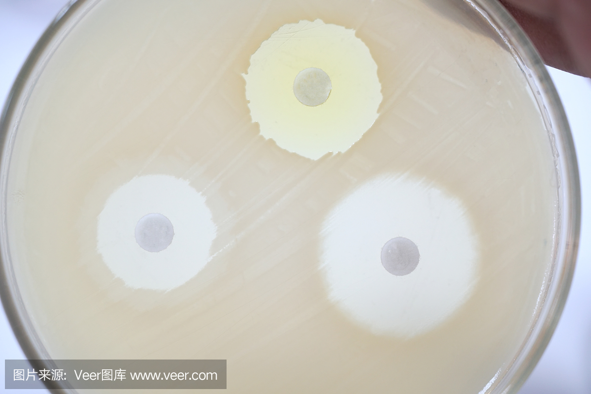 通过扩散测试的方式对细菌的抗生素敏感性是一