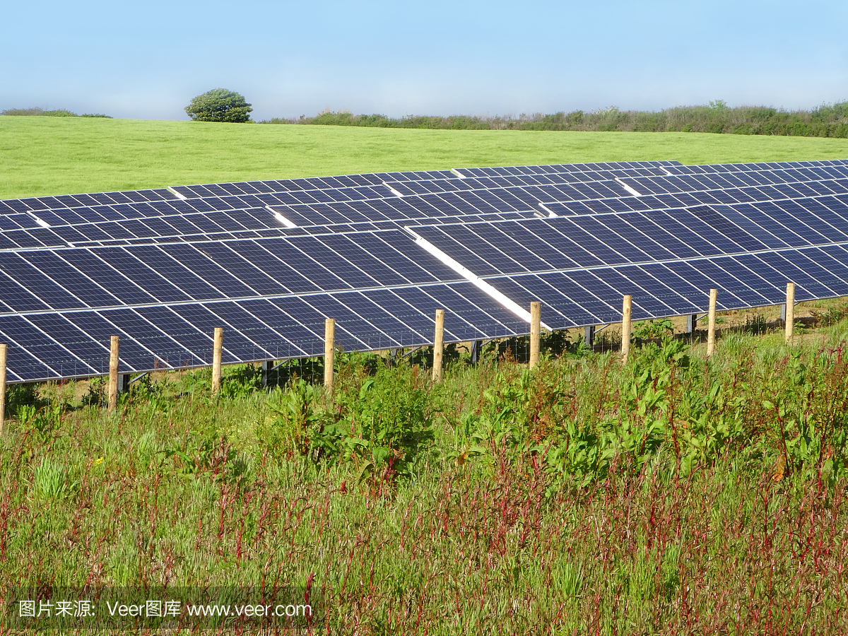 太阳能电池板在农田,环保能源的形象
