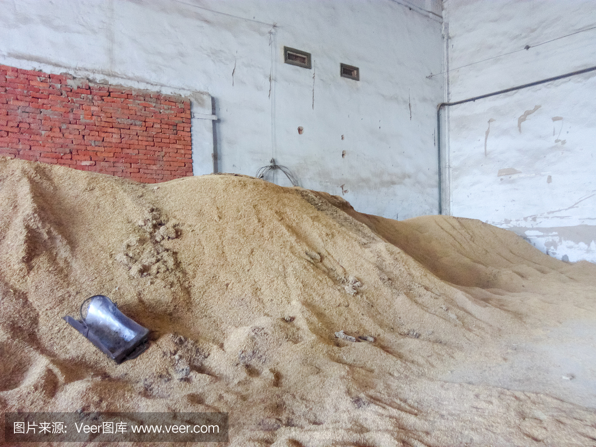 大麦和小麦的谷物堆在股票