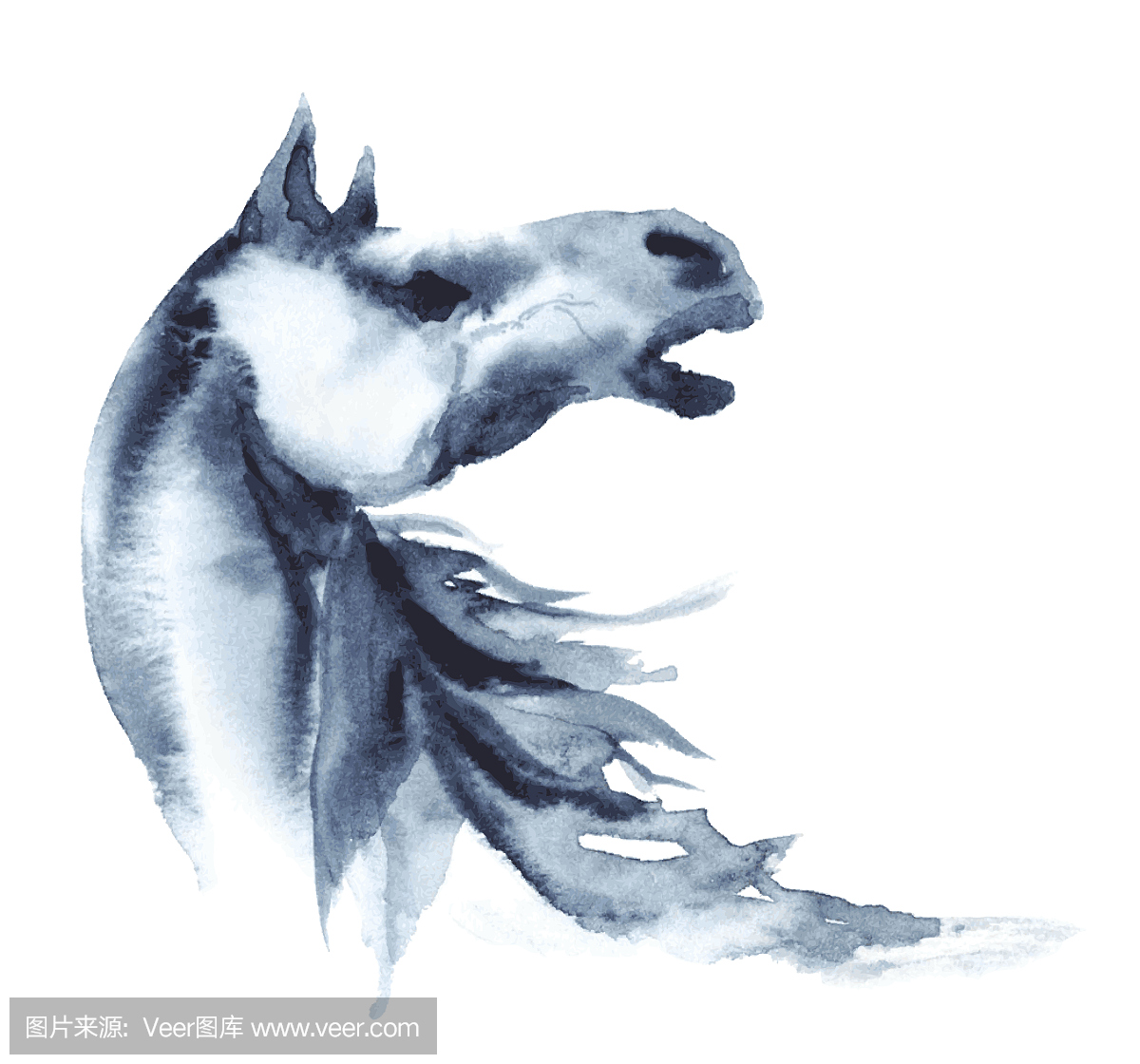 嘶叫,叫声,驴叫声,缰绳