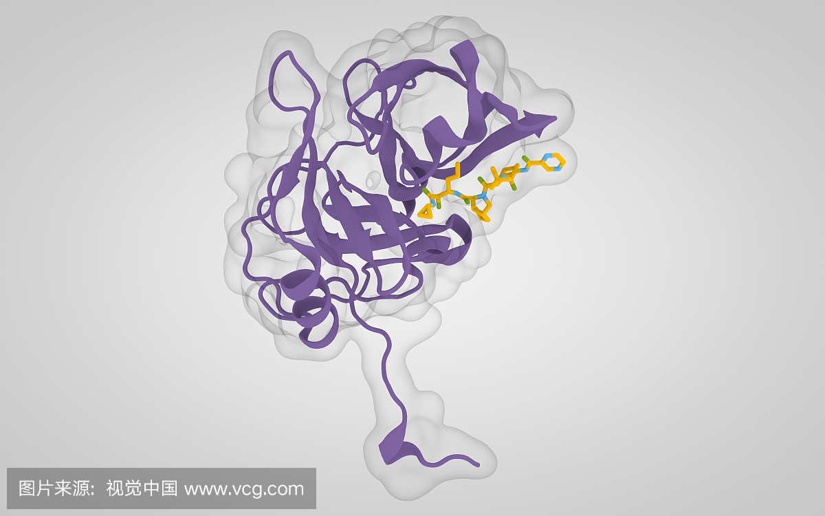 型肝炎,丙型肝炎病毒颗粒,丙型肝炎病毒RNA,丙