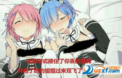 丢你拉姆表情包|丢你拉姆表情包(内附丢你蕾姆-119kb