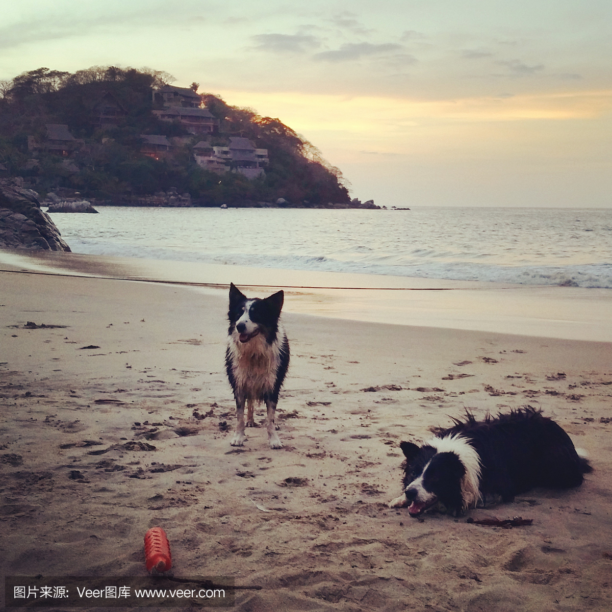 墨西哥文化,墨西哥传统文化,墨西哥节日,墨西哥