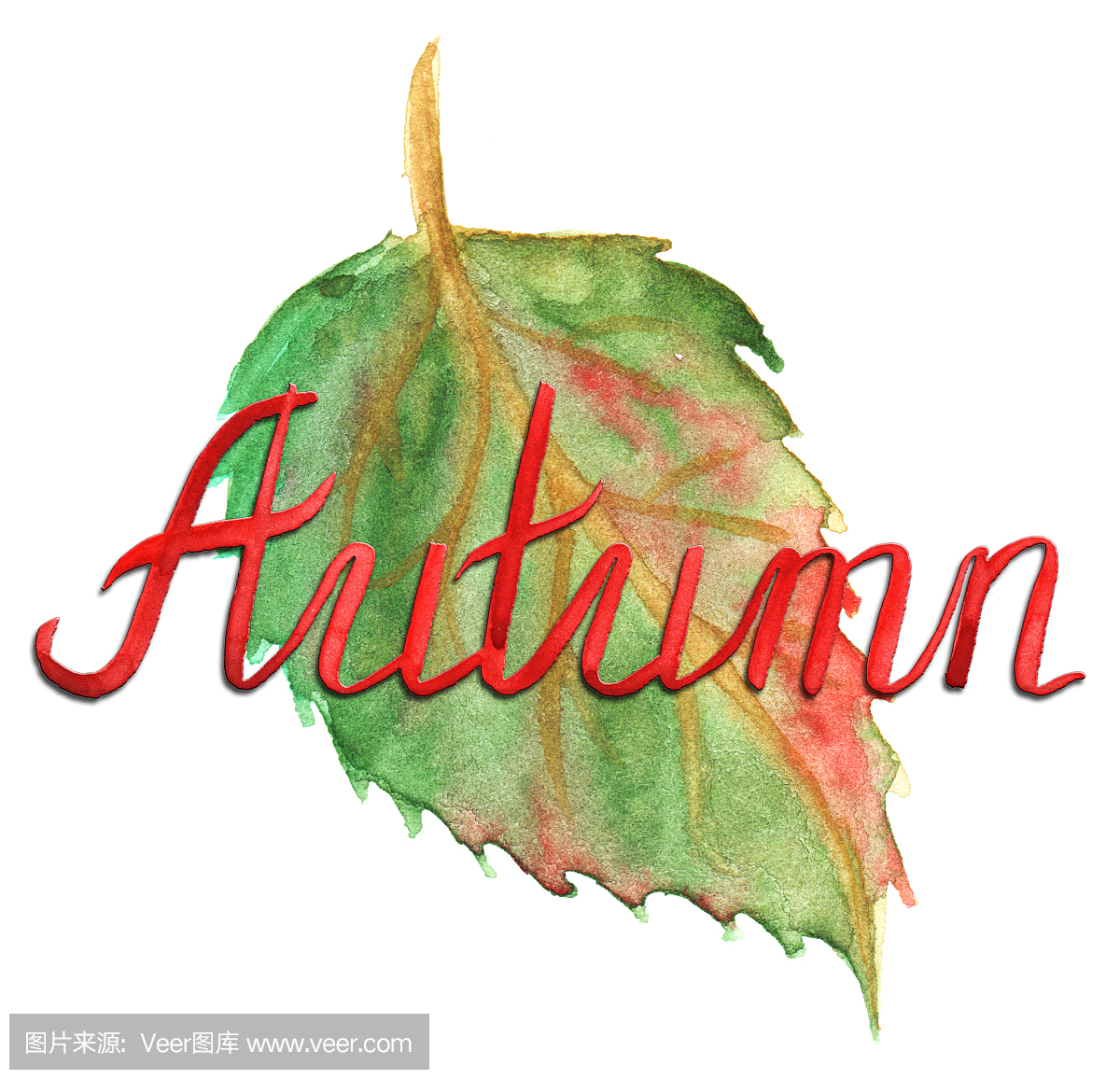 秋天墨水刻字印刷绿色黄色的红色叶子孤立