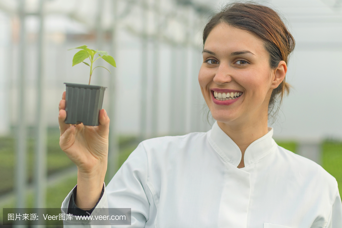 植物苗圃,园圃,苗圃,育苗基地