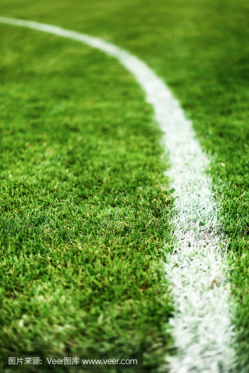 在一个足球场上