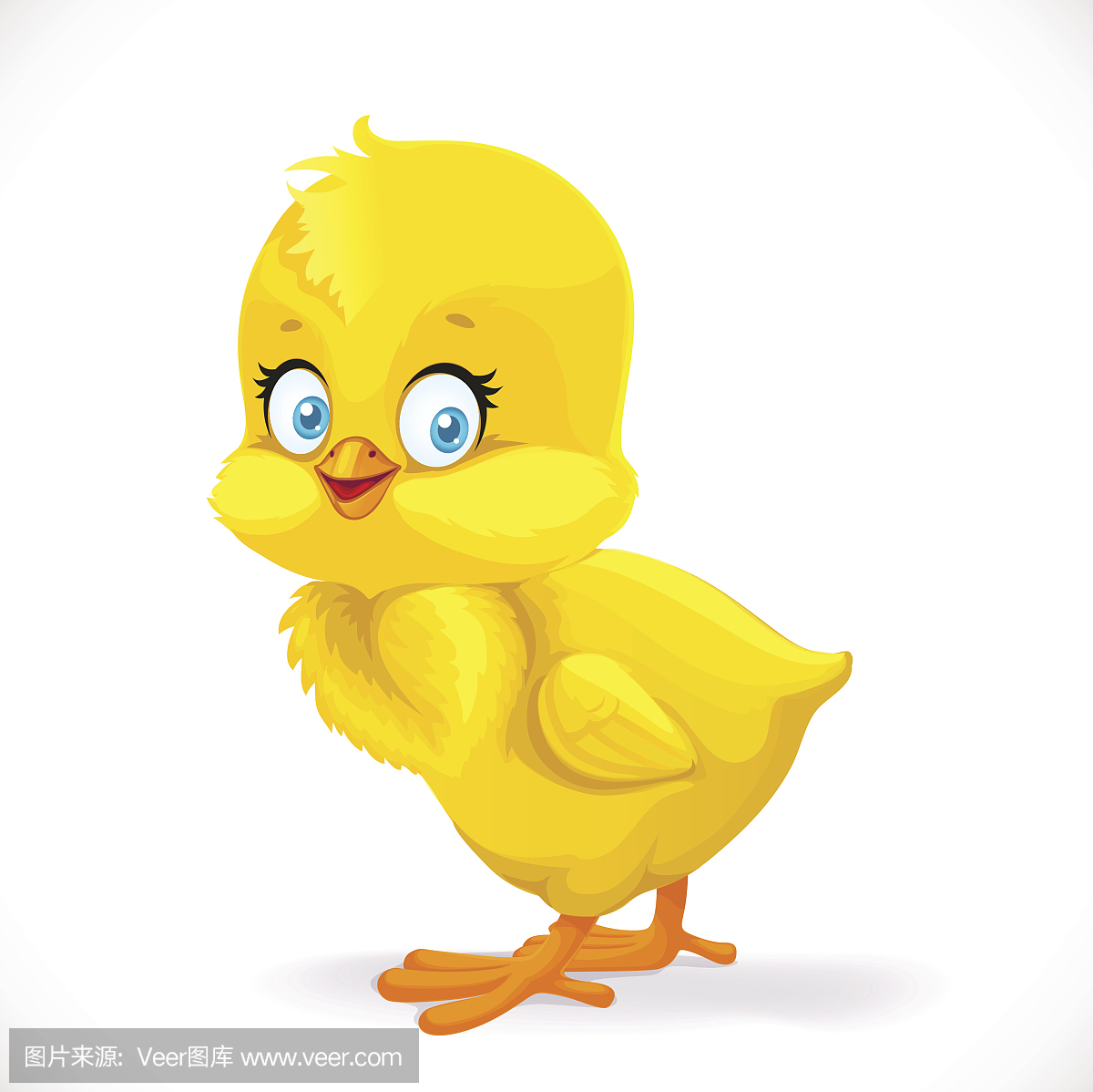 可爱的黄色卡通小鸡孤立在白色背景上