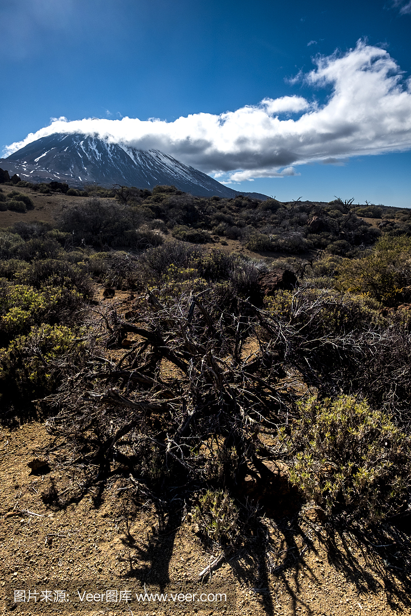 沙漠化,荒漠化,萨尔瓦多泰德国家公园,泰德高架