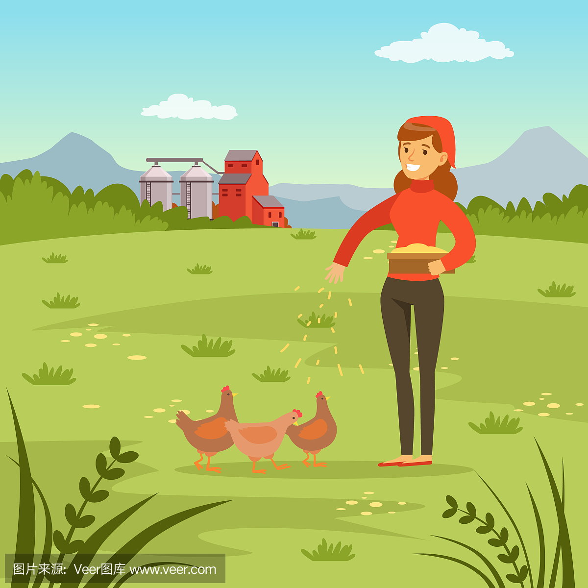 农民女人喂母鸡与玉米,农业和农业,农村景观矢