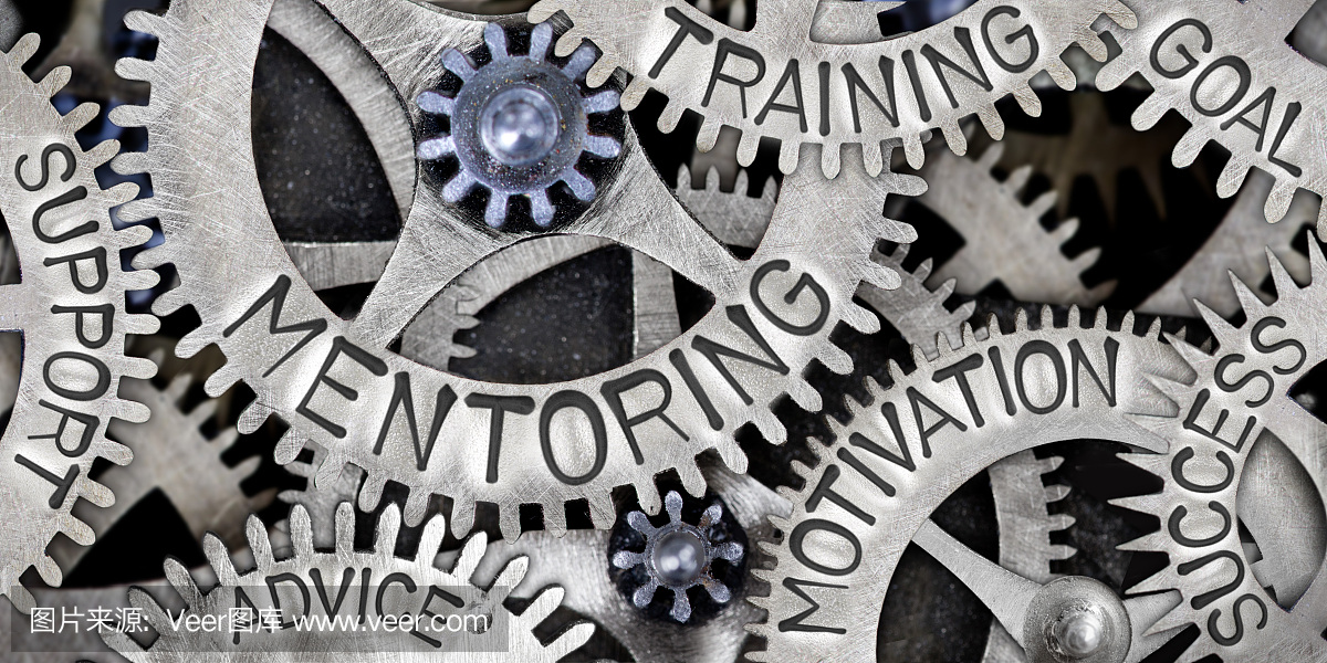 领导能力,董事,等级制度,领导阶层