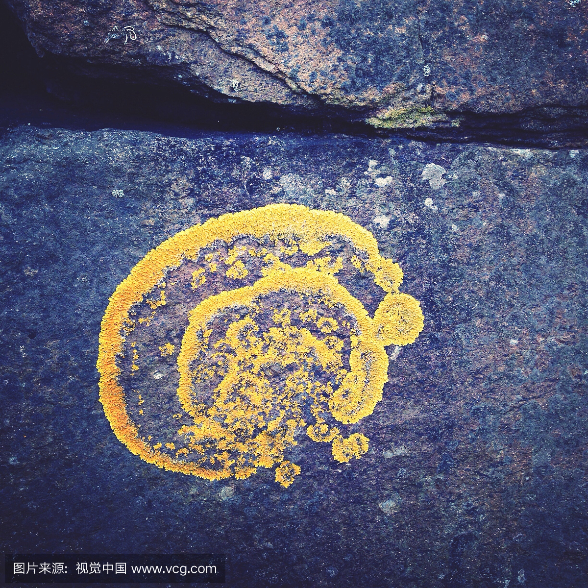 阴影,腰部以下,户外,黄色