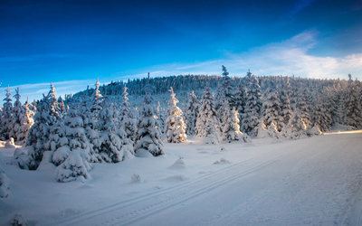 冬季唯美雪景自然风光高清宽屏高清电脑桌面主-1659kb