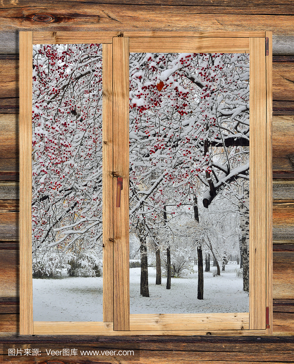 白雪皑皑的冬天风景在木窗口。