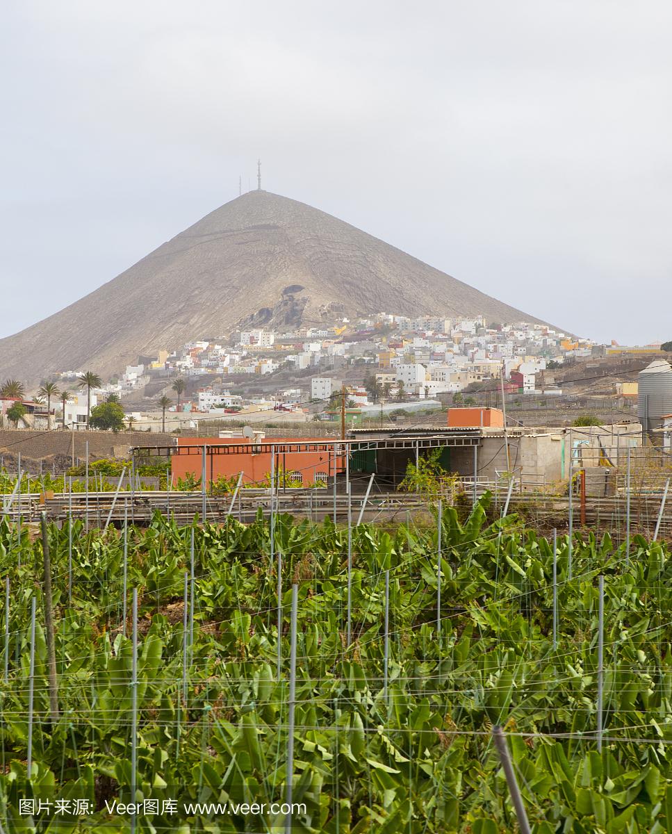 大加纳利,大加纳利岛,加那利群岛,加拿利岛