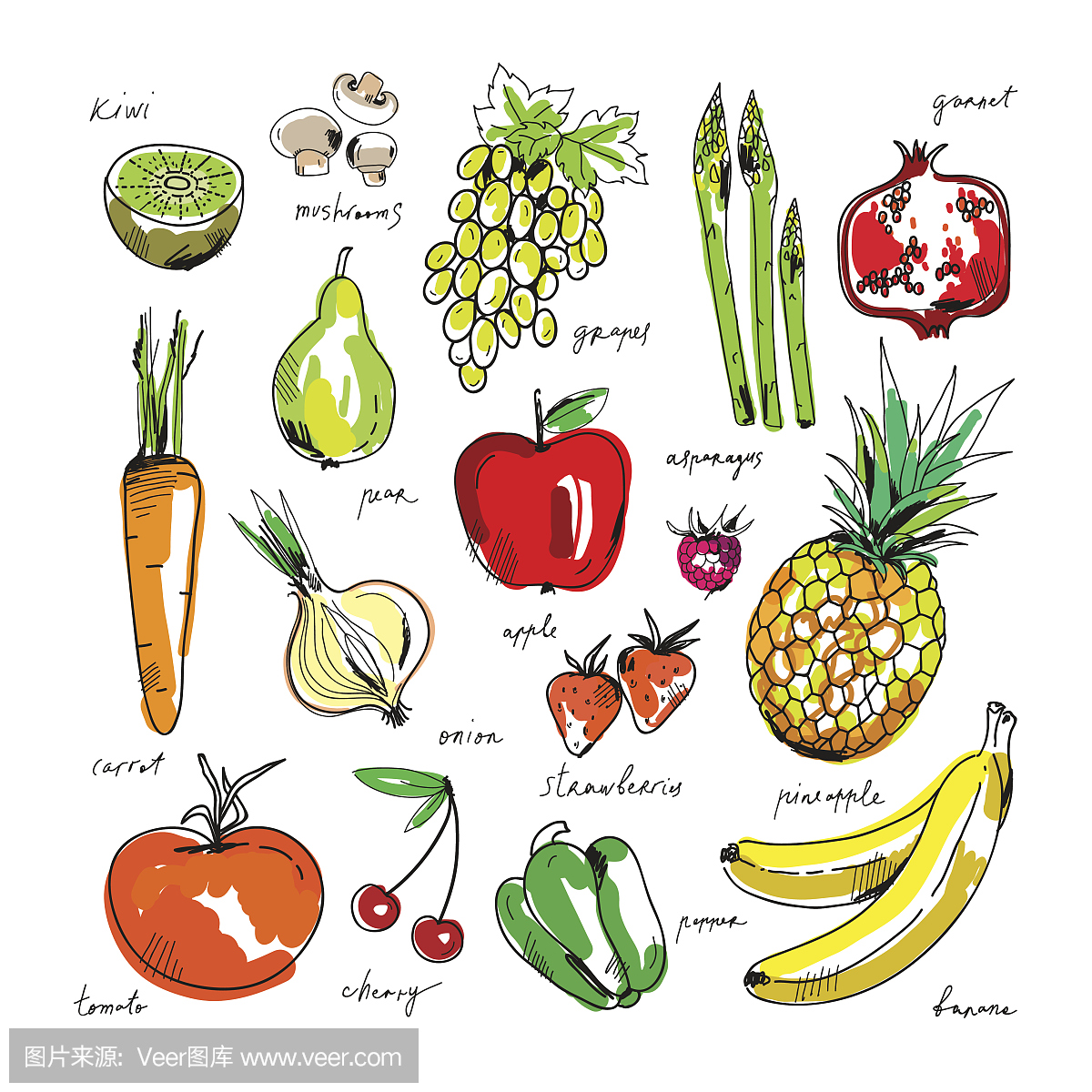 在白色背景上手绘画水果和蔬菜。