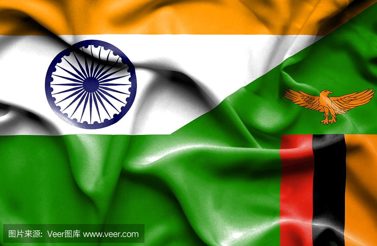 挥舞着津巴布韦和印度的旗帜