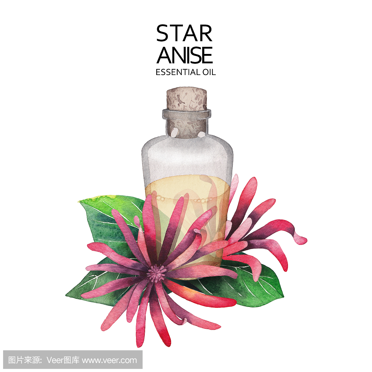 按摩油,按摩油膏,按摩精油,防晒油