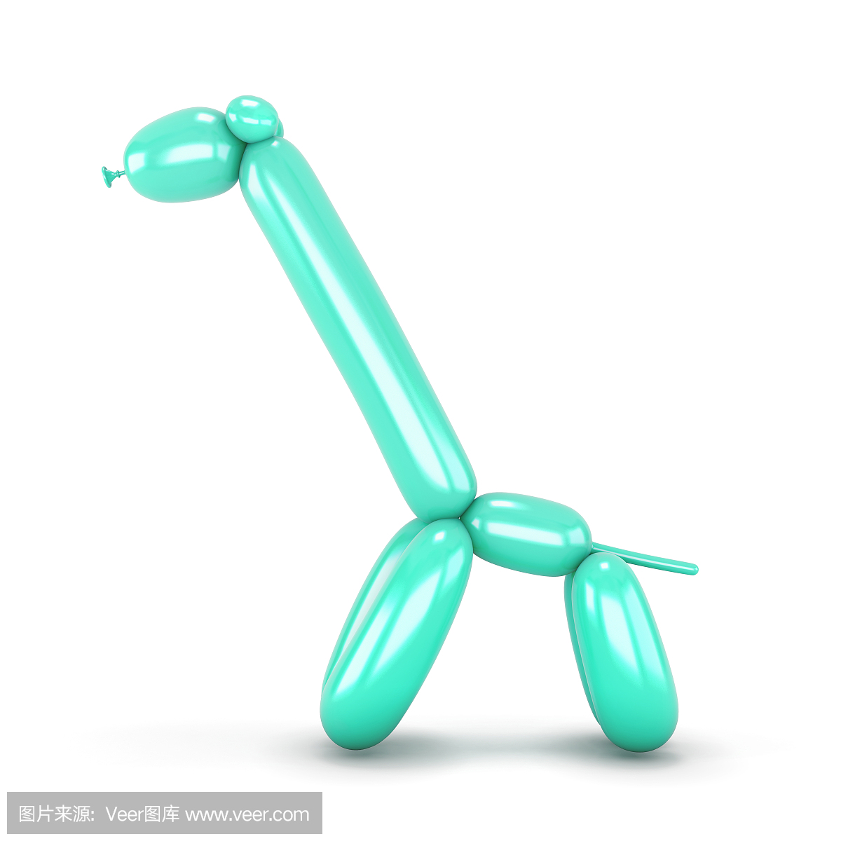 贵宾犬,贵妇犬,一种智力很高的狮子狗,狮子狗