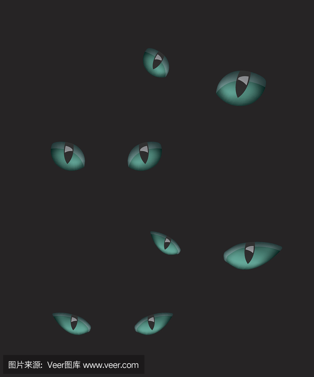 野生猫科动物,猫科,野猫科动物,野生猫