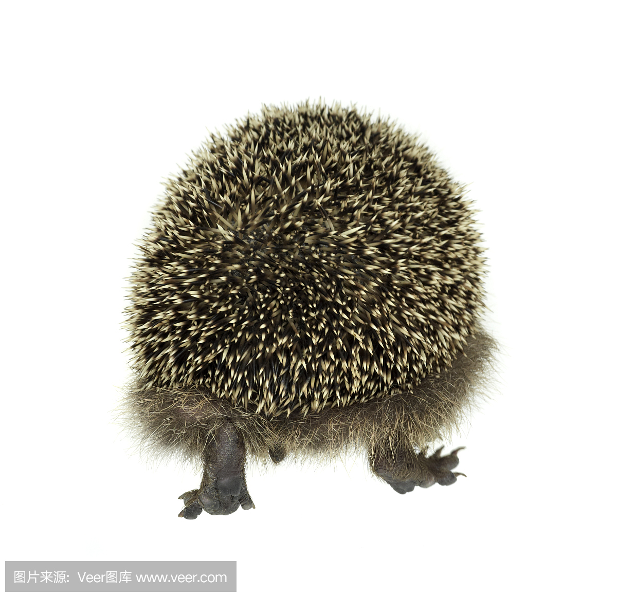 走开,别傻了,滚开,骂人