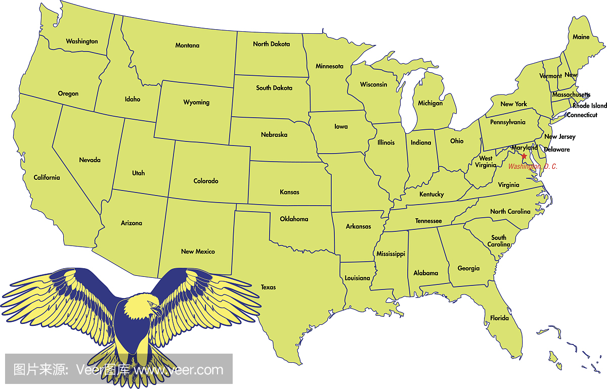 美国与州的矢量地图
