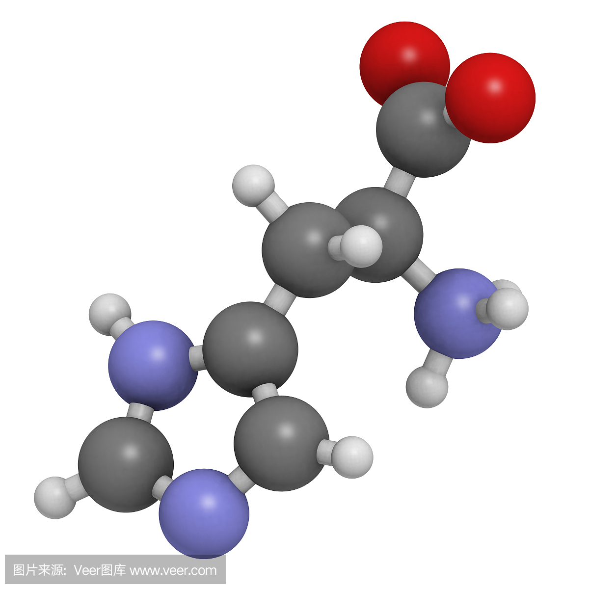 组氨酸(His,H)氨基酸,分子模型。