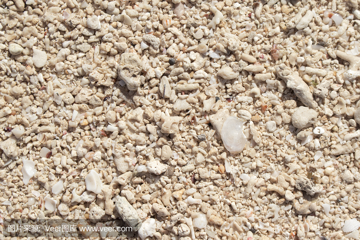 白色珊瑚海滩背景。珊瑚沙质地在海边在热带阳