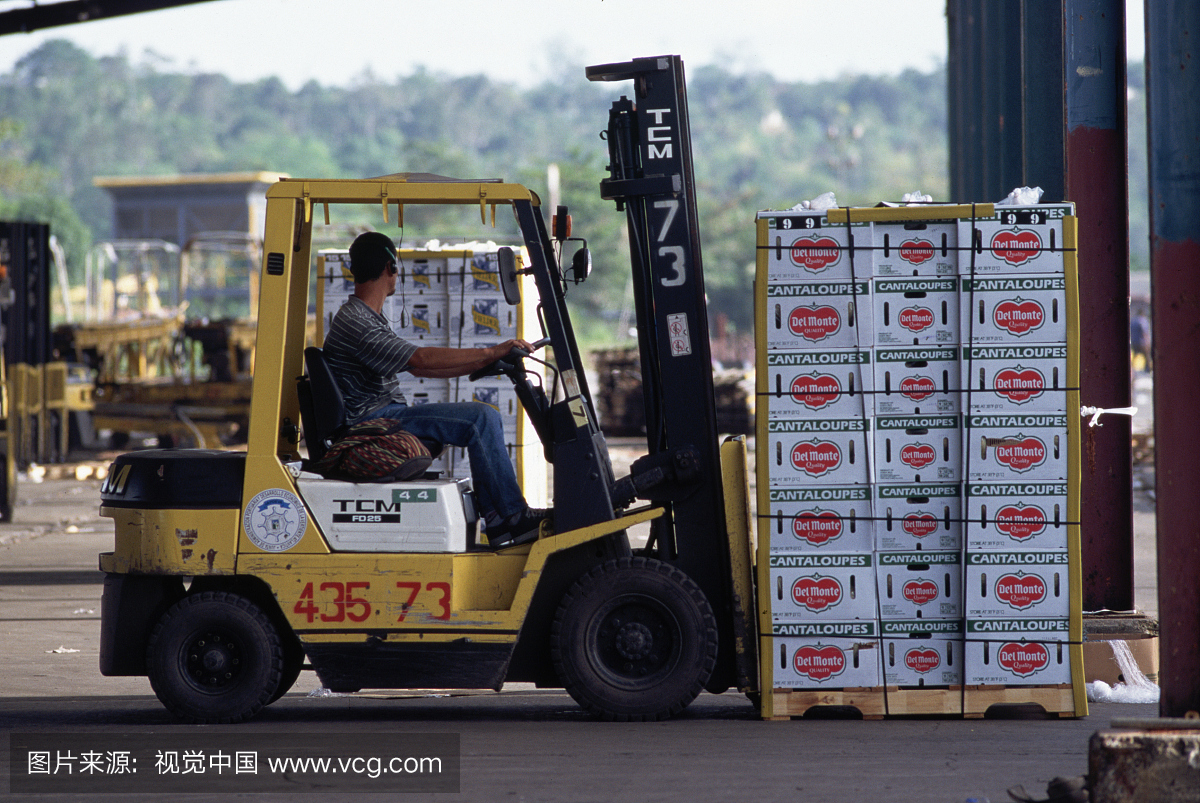 Forklift Shifts Boxes of Cantaloupes at Port of Moin
