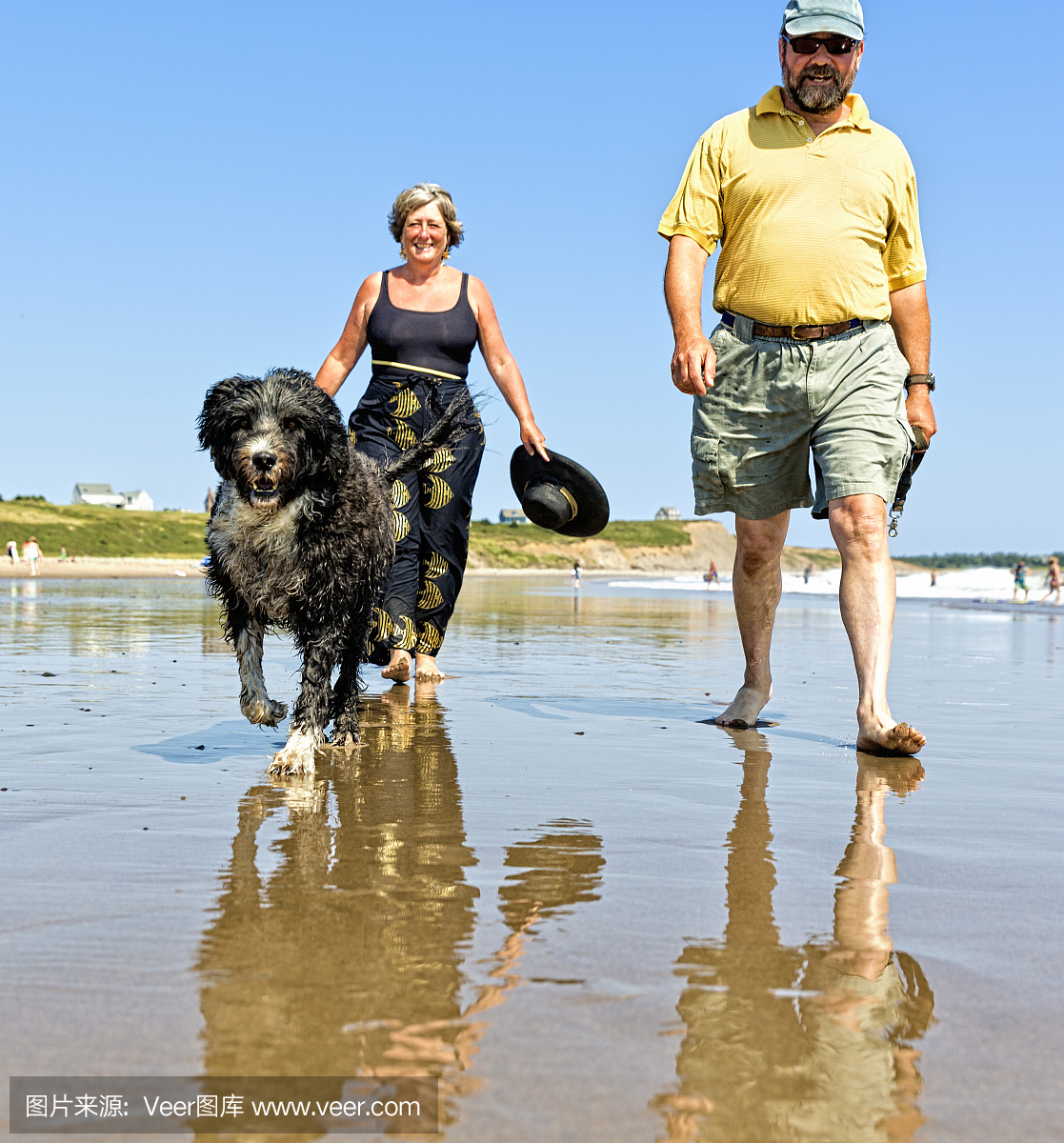 夫妇走在海滩上的葡萄牙水狗