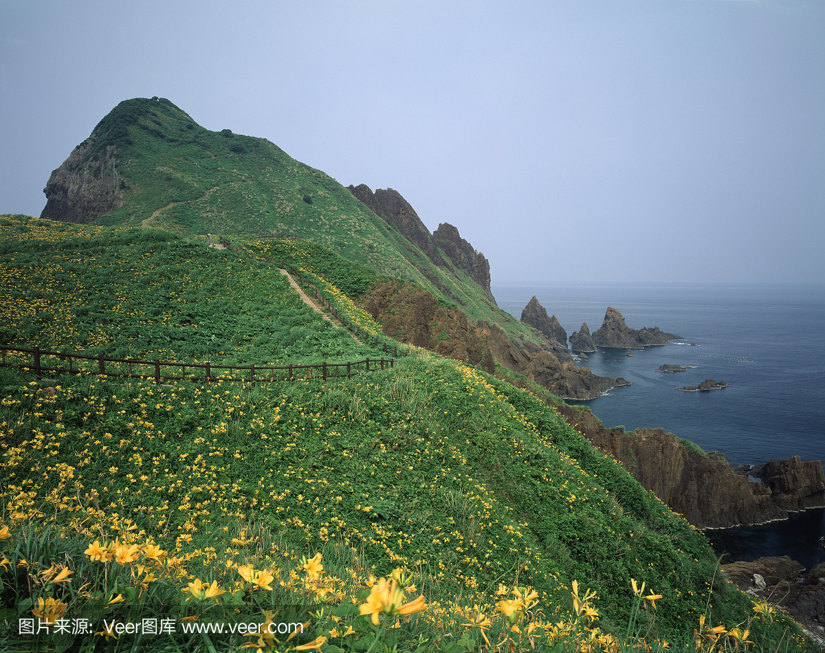 新泻县,新滹,日本本州岛中北岸港市,新泻镇