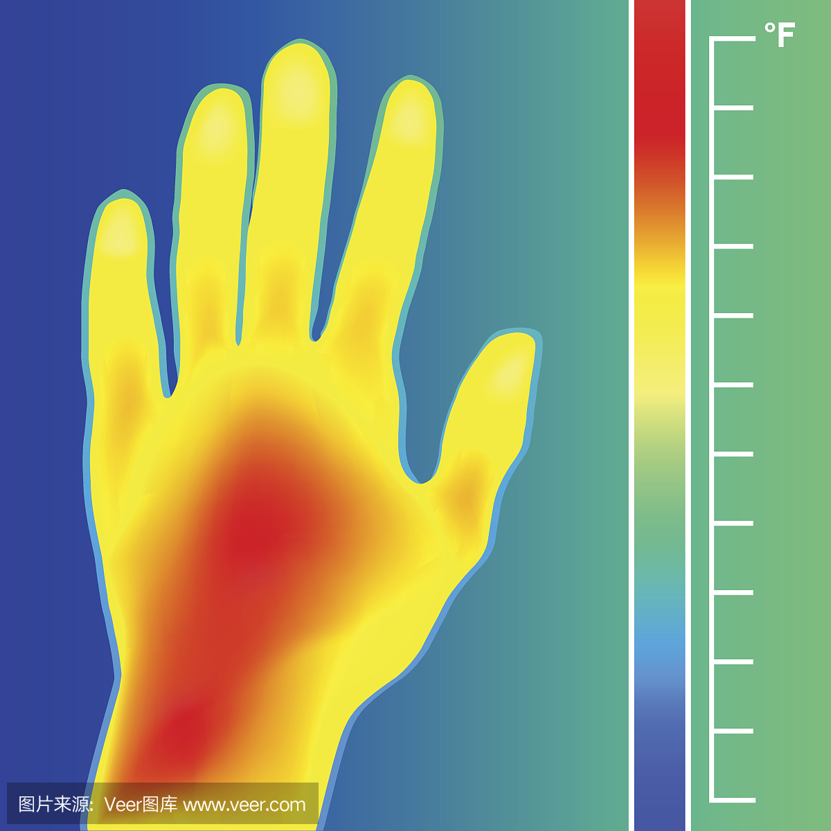 热像仪扫描人的手矢量图。比例是华氏度。