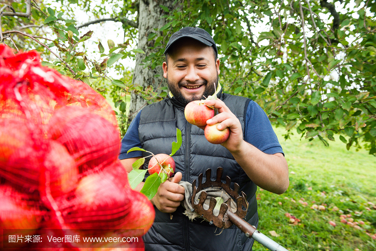 周末活动,美国文化,伸手,拉美人和西班牙裔人
