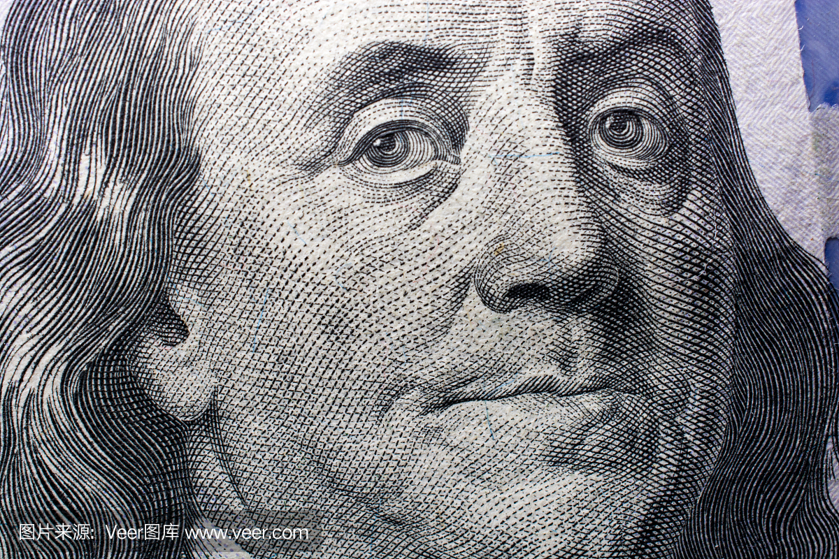 大猩猩,金刚猩猩,美国,水平画幅