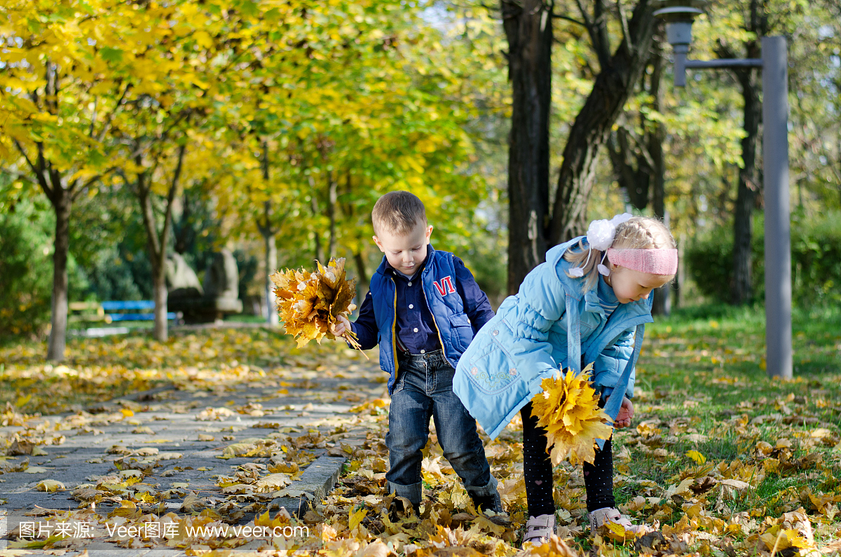 孩子们收集秋天的乐趣